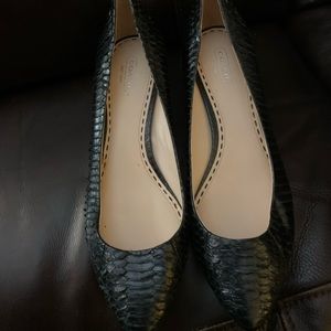 Coach Small Pumps Black Scaley 10B.